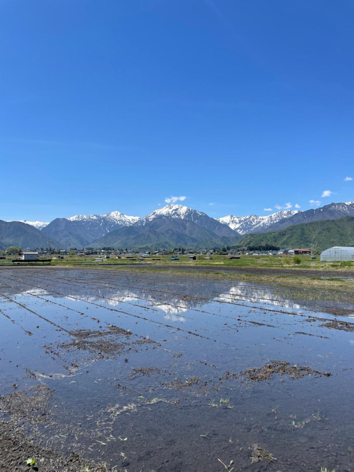 北アルプス麓のゲストハウス林屋 โอมาจิ ภายนอก รูปภาพ